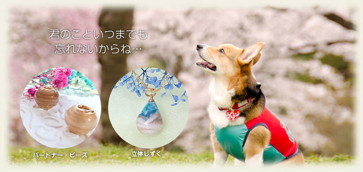 メモリアルグッズの紹介