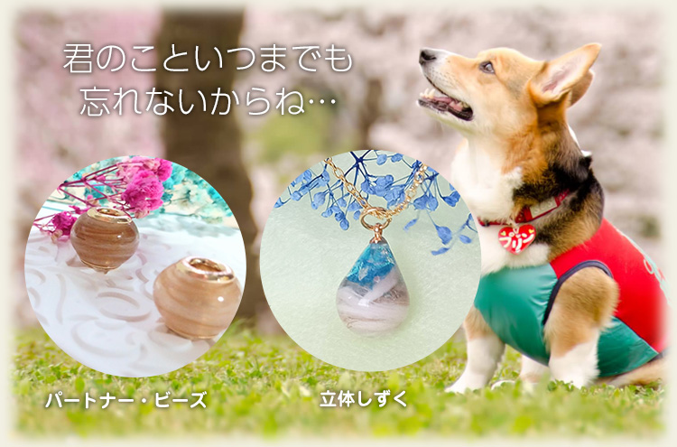 メモリアルグッズの紹介